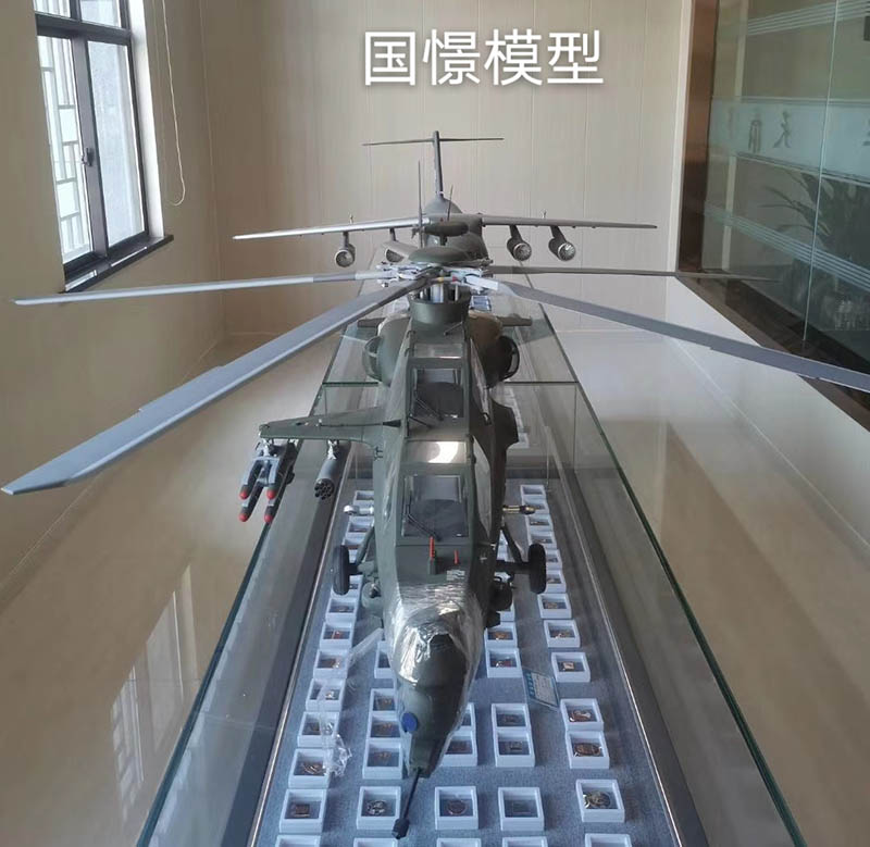 平乡县飞机模型